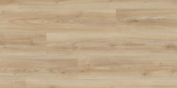 verlegte Fläche verlegte Fläche