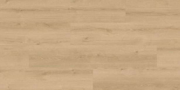 verlegte Fläche verlegte Fläche