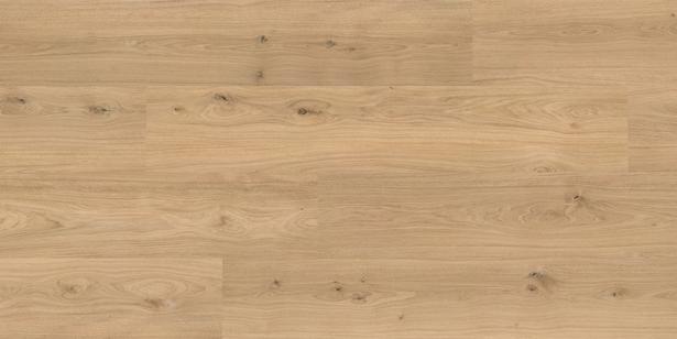 verlegte Fläche verlegte Fläche