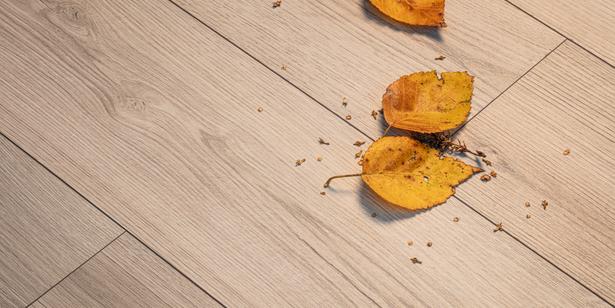 Detailbild Detailbild